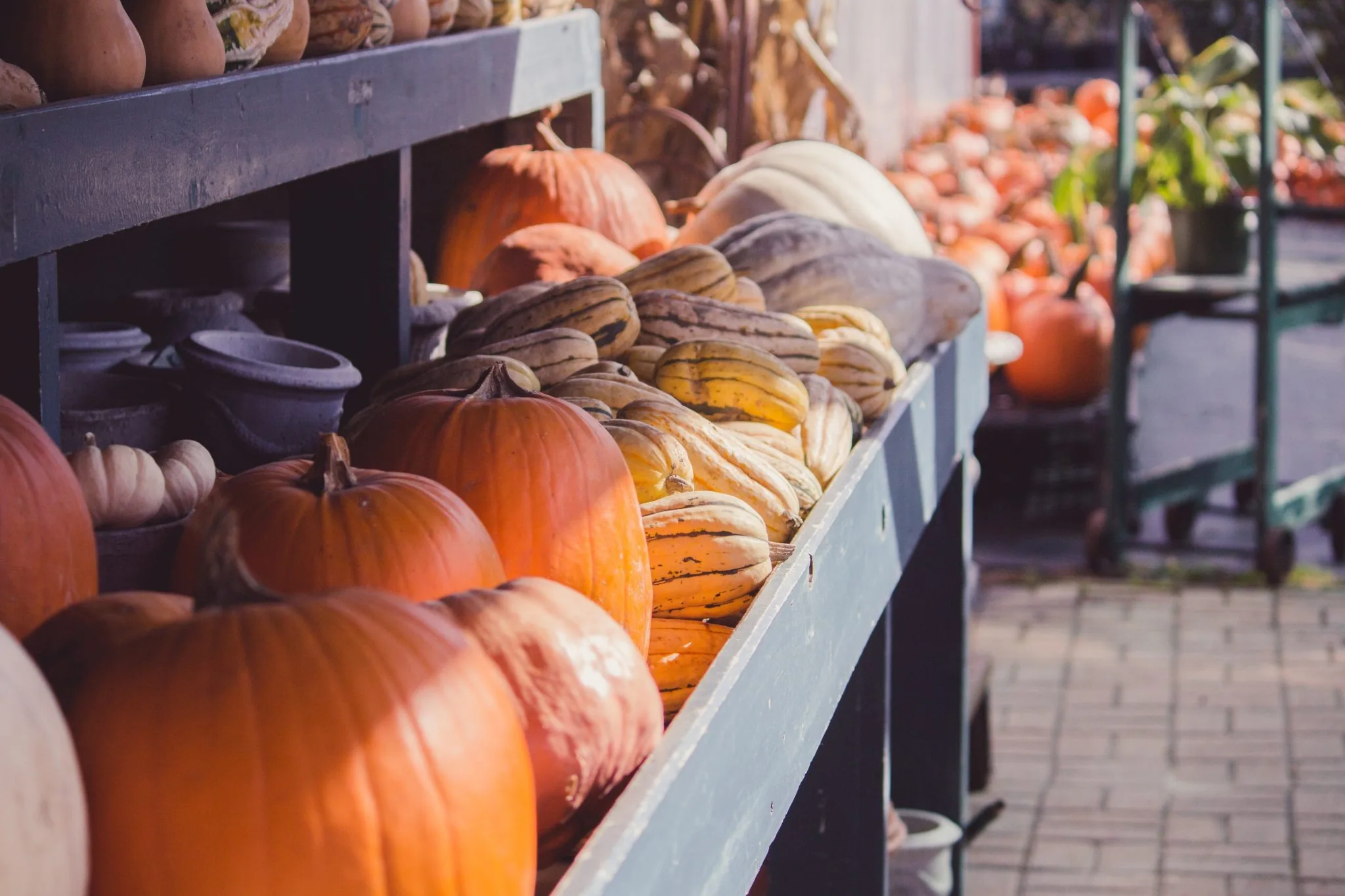 Fall Marketing Ideas