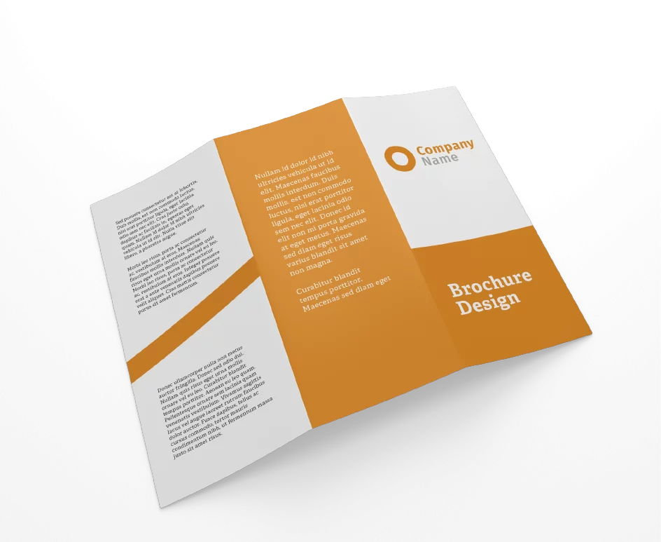 tri-fold brochure example